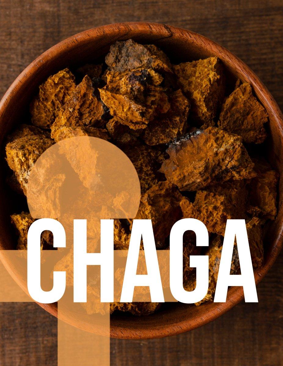 Chaga Extract - Antioxidants - Liquid Double Extract image 3
