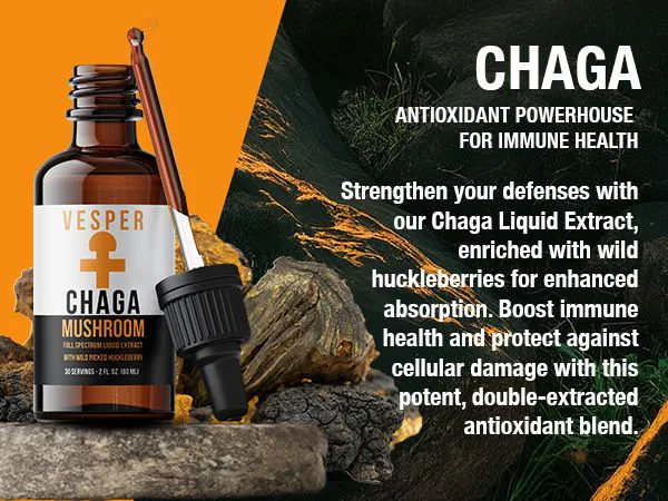 Chaga Extract - Antioxidants - Liquid Double Extract image 2