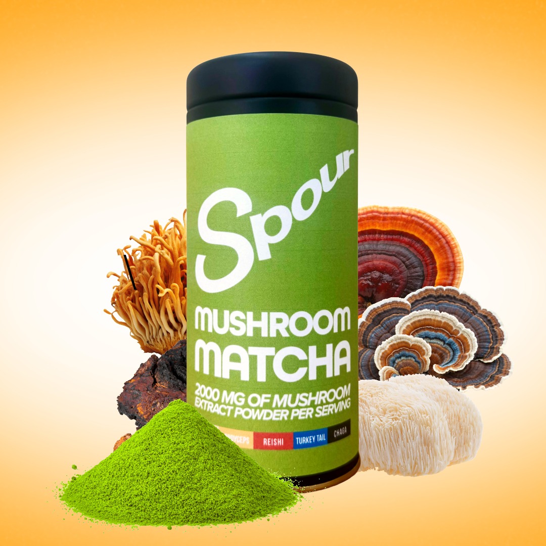 Spour - Matcha - Adaptogenic Mushroom Matcha Mix image 2