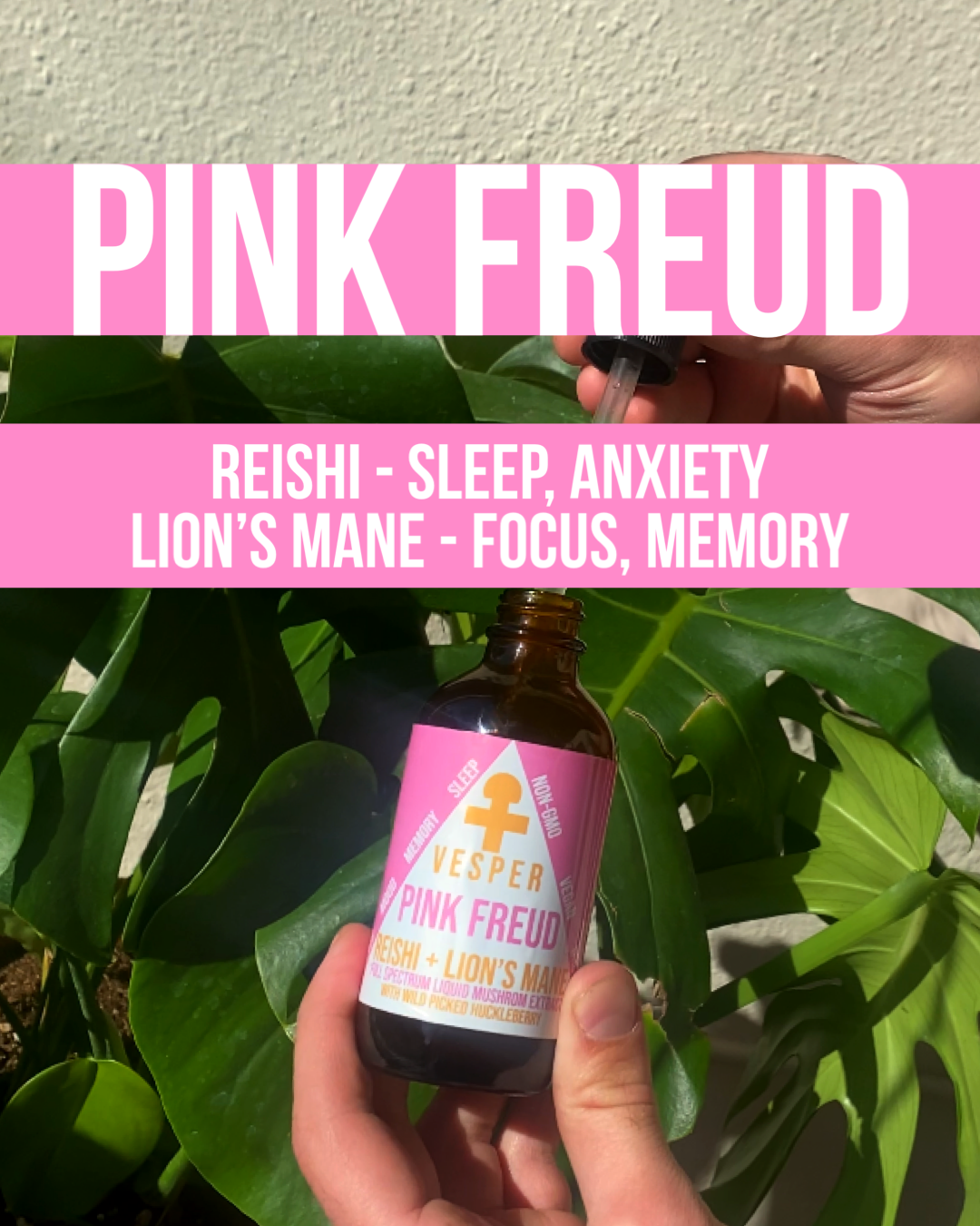Pink Freud Reishi and Lion's Mane Blend - (4oz./120ML) image 2