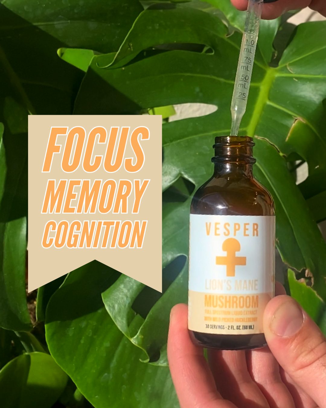 Lion's Mane Extract (2 oz, 30 servings) image 3