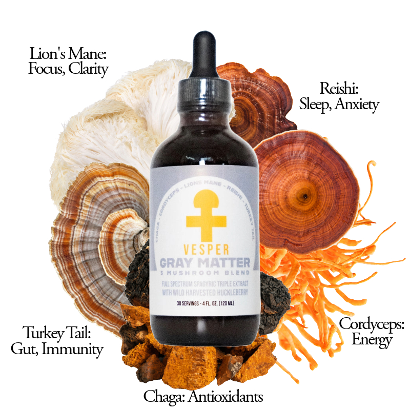 Gray Matter 5 Mushroom Complex - Spagyric (4oz./120ML) Concentrate image 2
