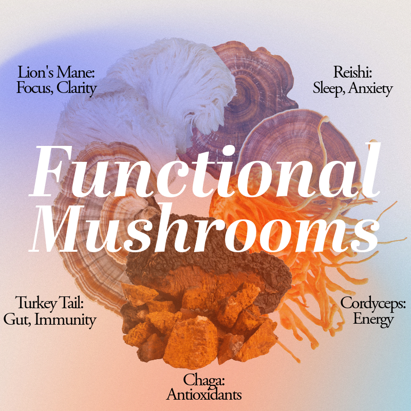 Vesper Mushrooms on Portlazon